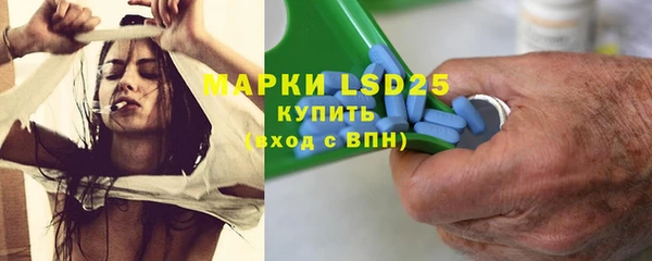 ПСИЛОЦИБИНОВЫЕ ГРИБЫ Алексеевка