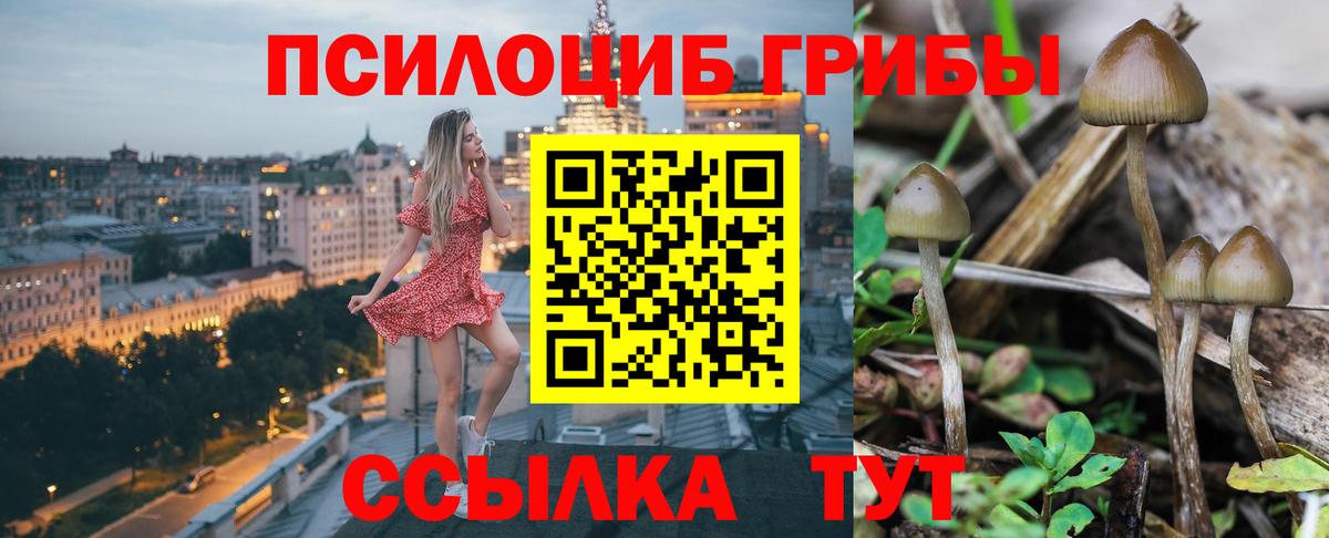 Галлюциногенные грибы GOLDEN TEACHER Чапаевск