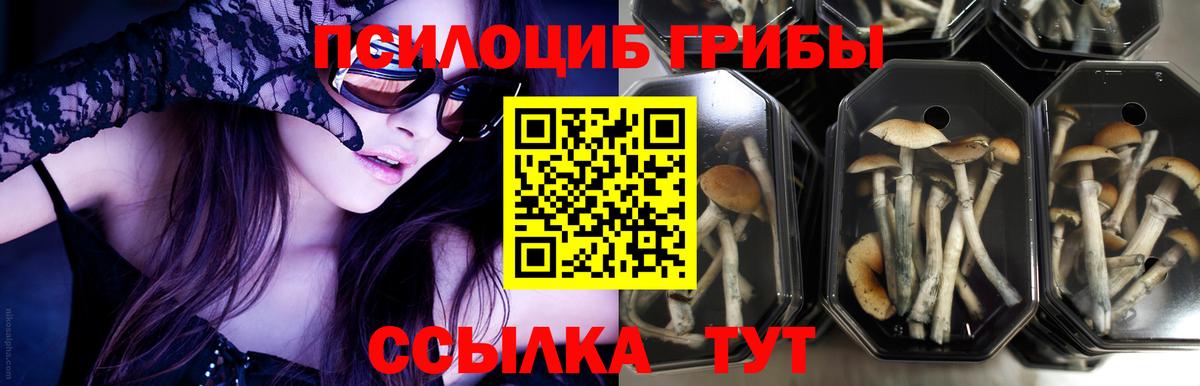 Галлюциногенные грибы GOLDEN TEACHER  Галлюциногенные грибы Magic Shrooms  Вход с VPN  цена   Чапаевск 