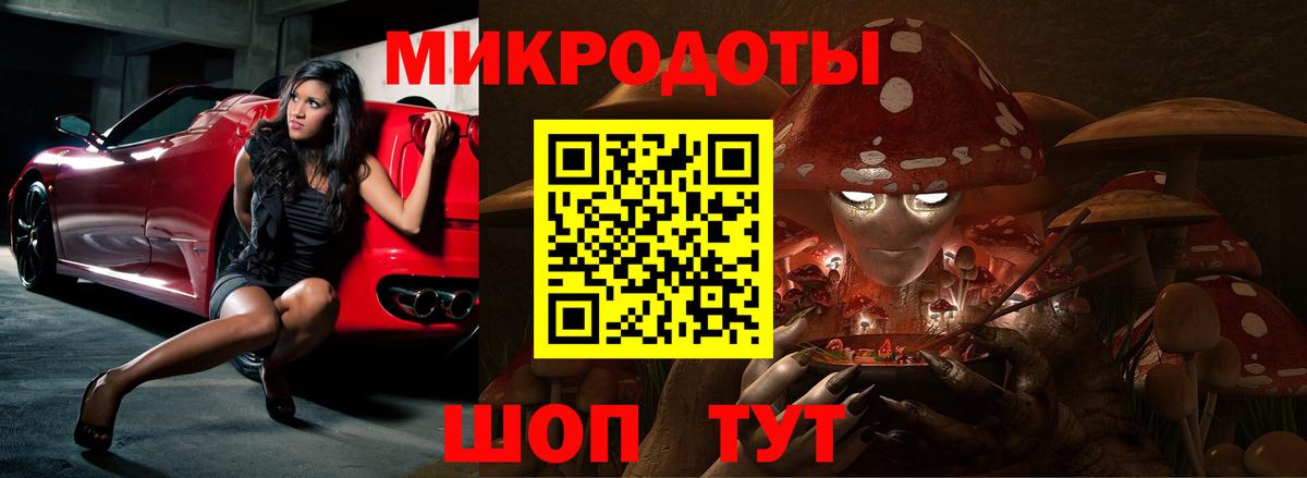 Псилоцибиновые грибы Psilocybe  наркота  Чапаевск  Галлюциногенные грибы ЛСД 